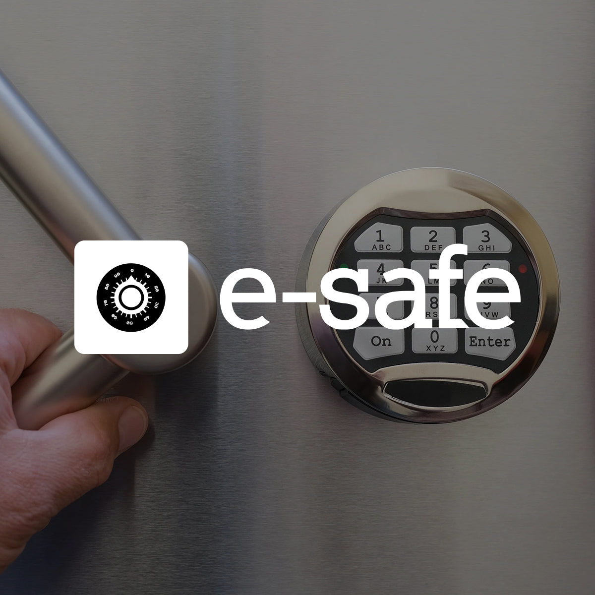 E-Safe