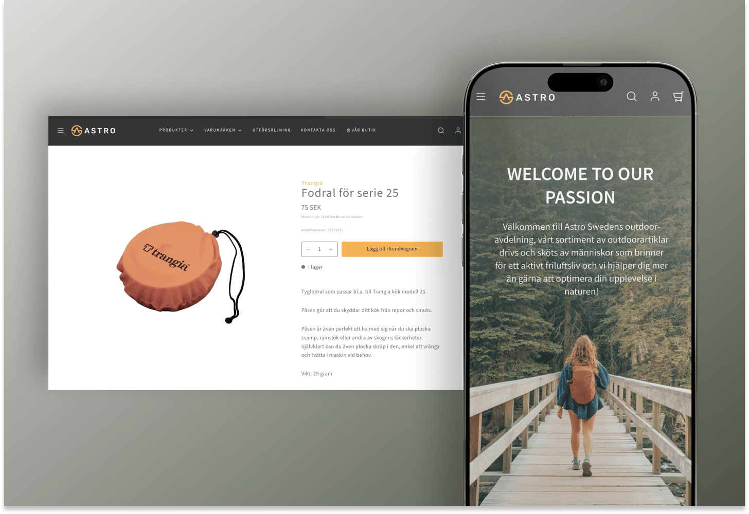 Stride Shopify Plus Byrå